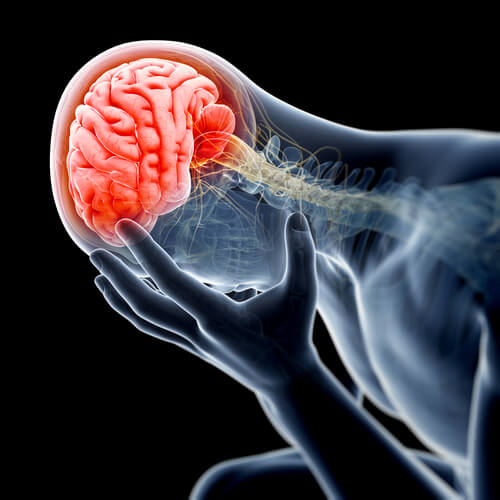 Brain Damage - Holding Head