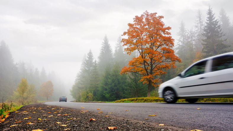 Autumn Fog and Rear-End Collisions